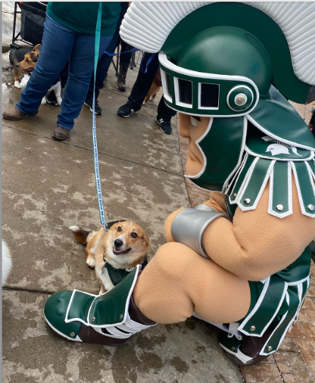 A photograph of MSU's Sparty mascot kneeling, petting a dog.
