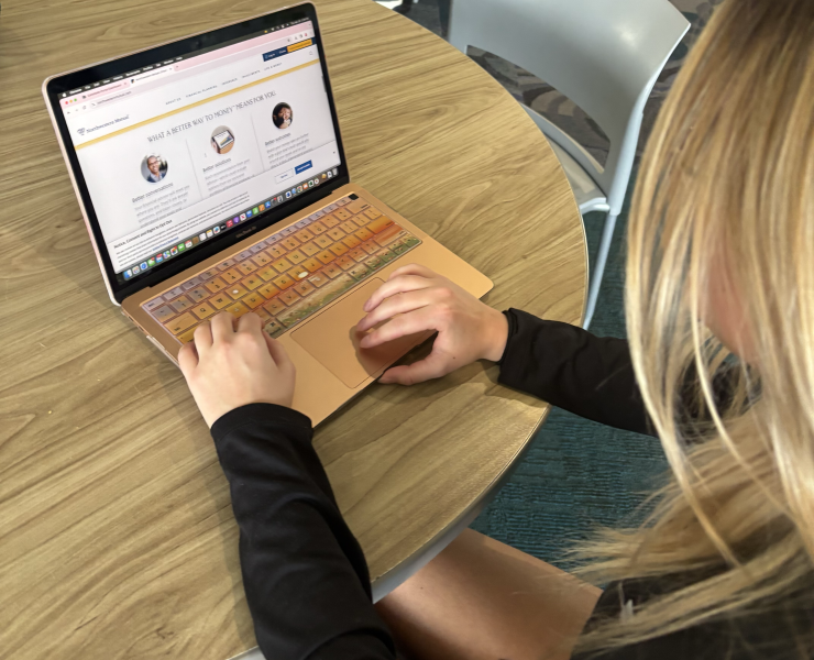 A person looks at a computer