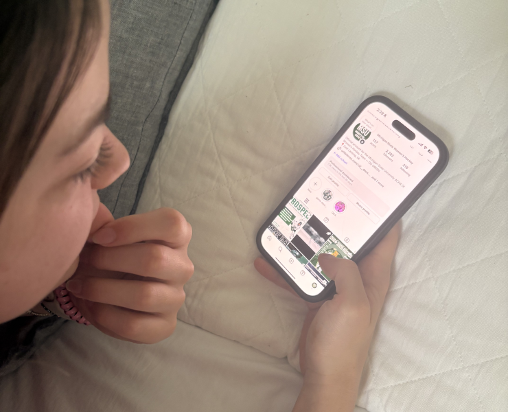 A person looks at a web app on a phone screen