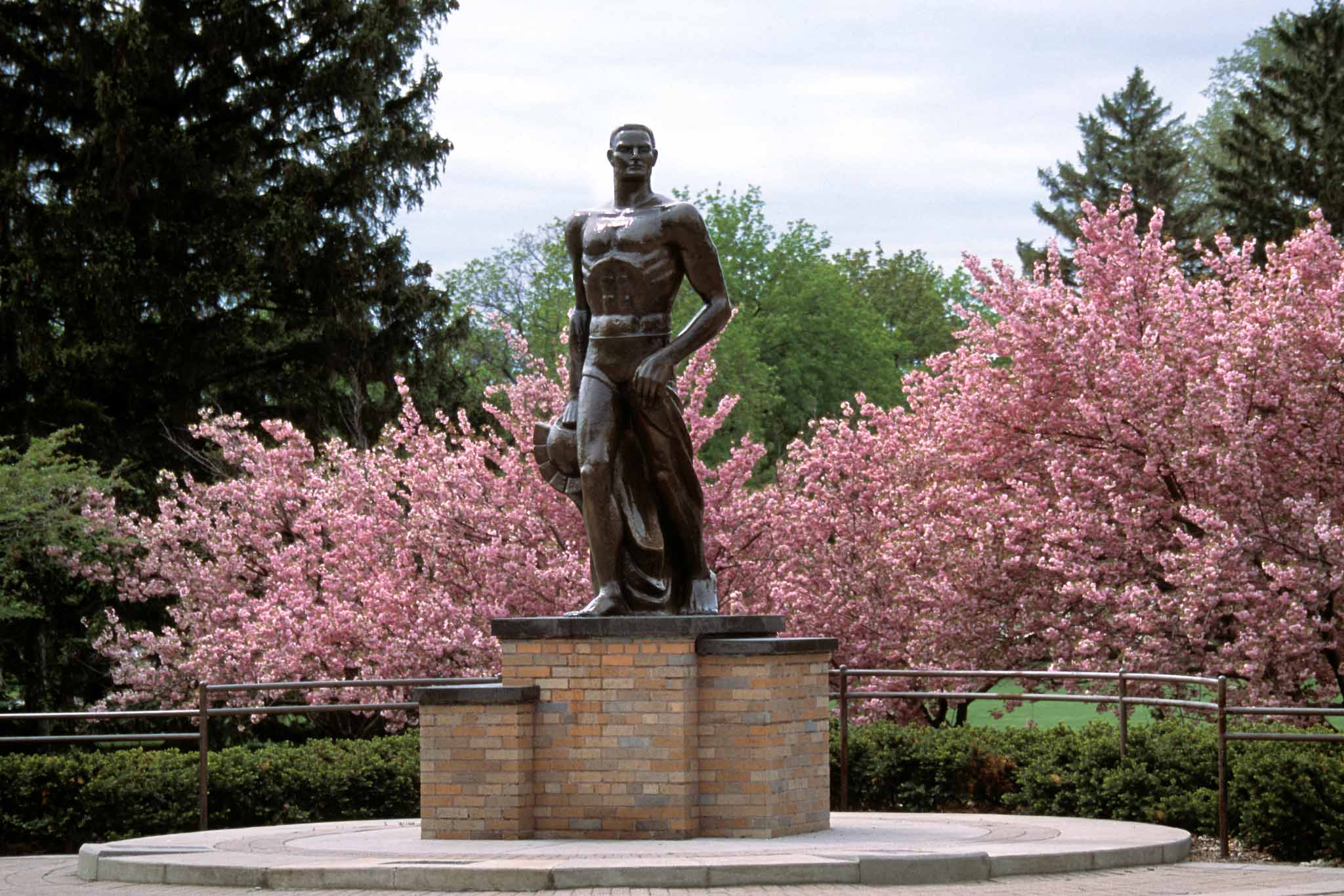 statue of Sparty on Michigan State University's campus with pink flowers in background